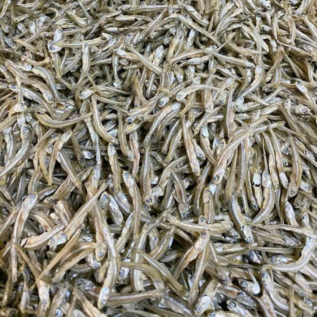 

ikan teri tawar 500gram segar fresh