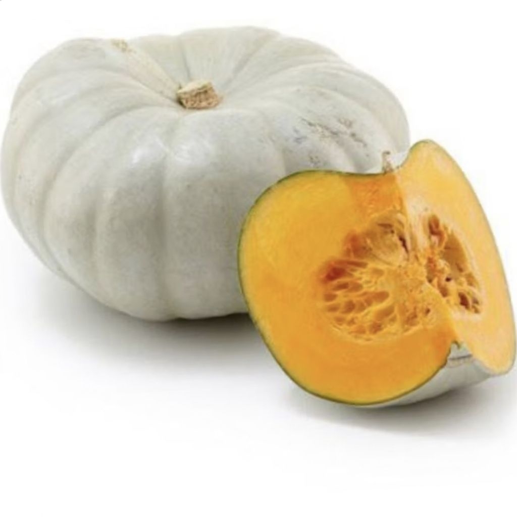 Benih Tanaman Labu Kuning/Labu Parang