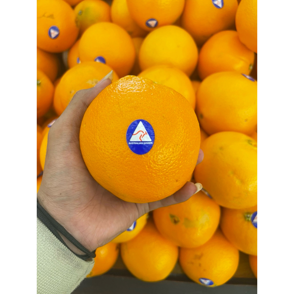 

Jeruk Sunkist Navel Australia Super | Jeruk Sunkist Manis Seger 1 kg