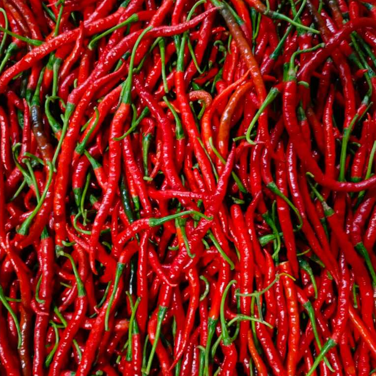 

cabe keriting merah premium 1 kg