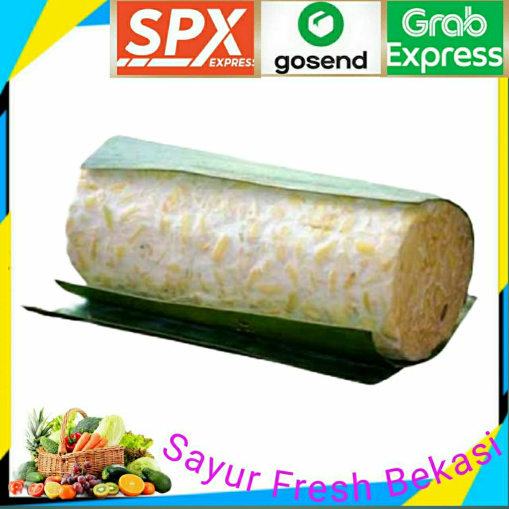 

Tempe Bulat (1pcs).