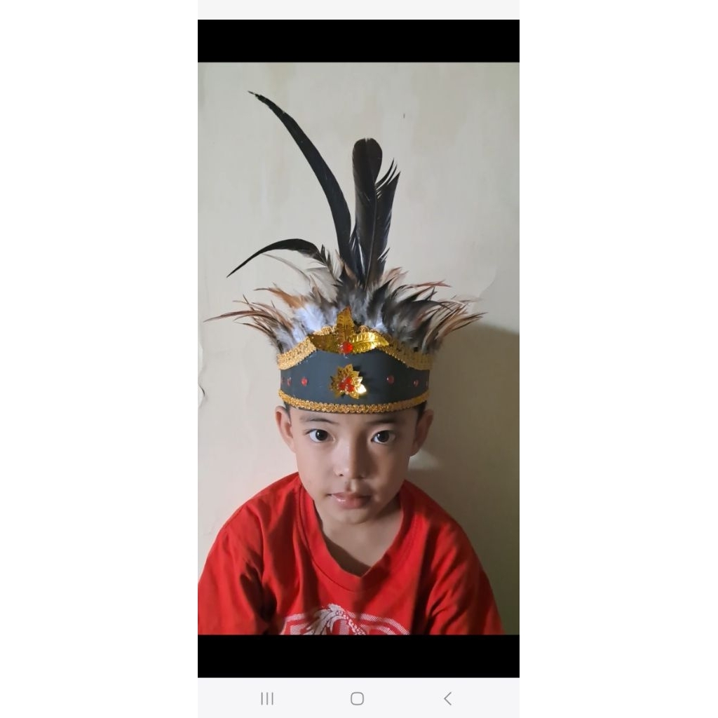 MAHKOTA DAYAK KALIMANTAN ADAT KALIMANTAN