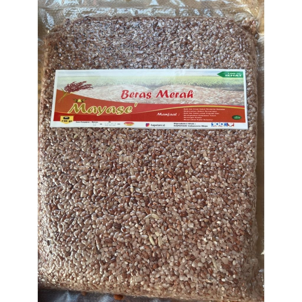 

Beras Merah Mayase Sosoh | HAPETANI INDONESIA