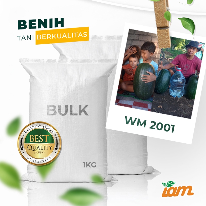 

BULK 1kg – semangka F1 (WM 2001)