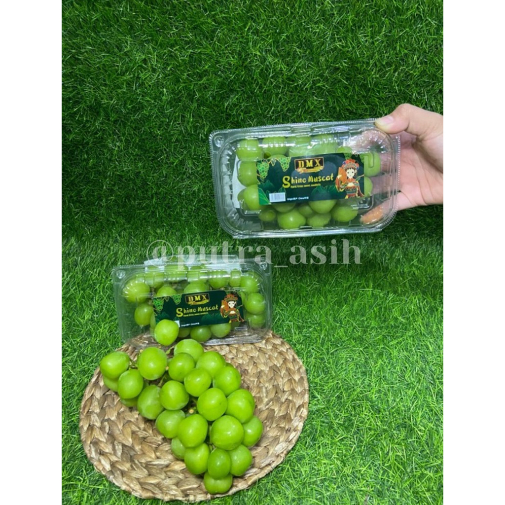 

Anggur Shine Muscat Green Seedles ( buy 1 pack free 1 pack )