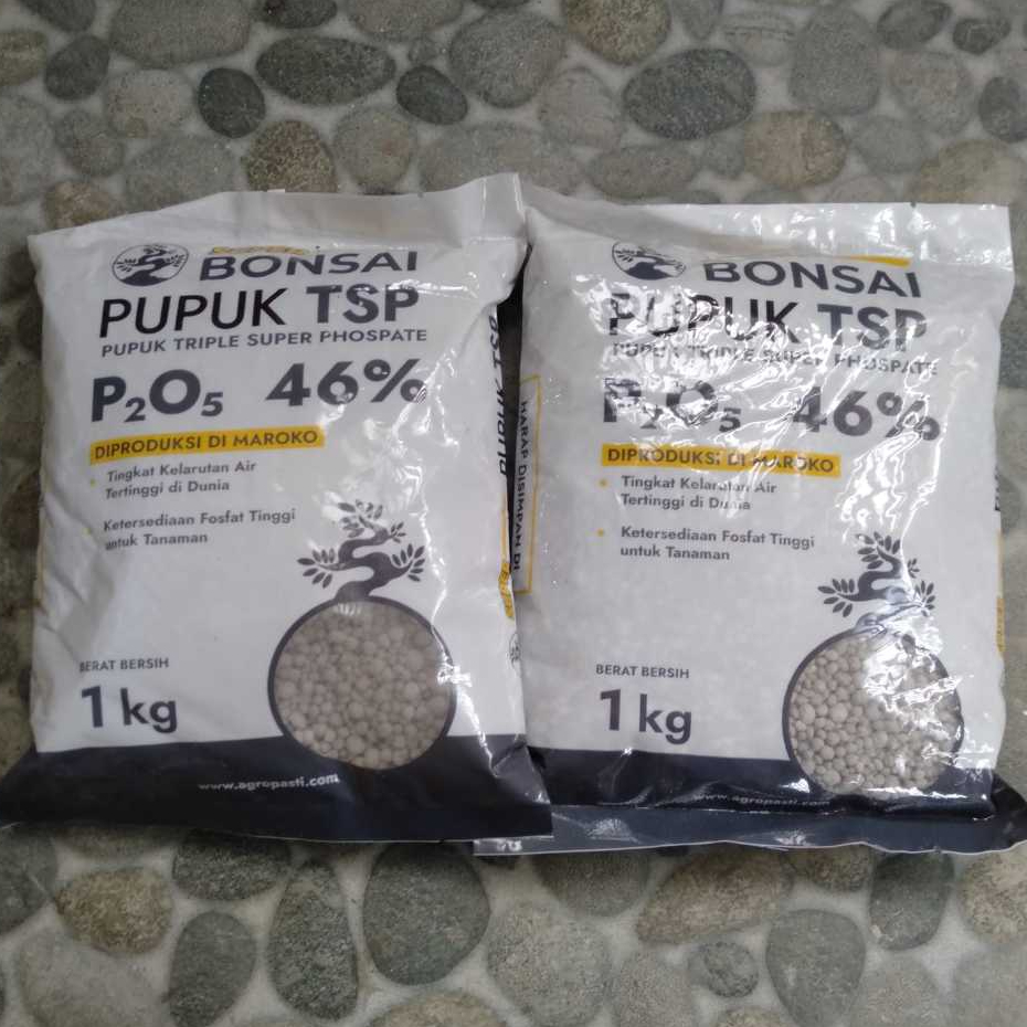 Super Bonsai Pupuk TSP 46% : Phospat Dengan Kelarutan Tertinggi Mempercepat Akar, Bunga dan Buah - 1