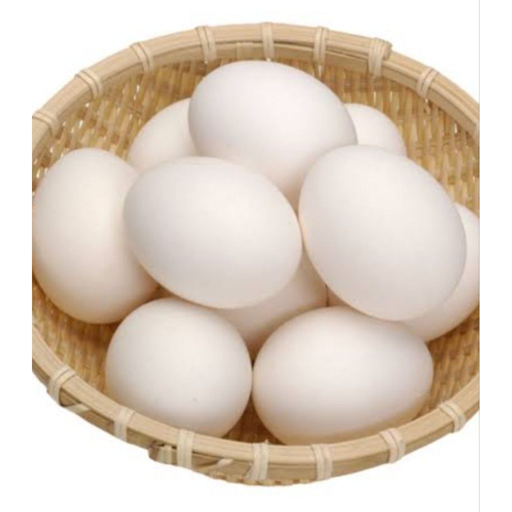 Telur Ayam BK (Bangkok) Fertil, Benih Ayam BK, Bibit Ayam Bangkok