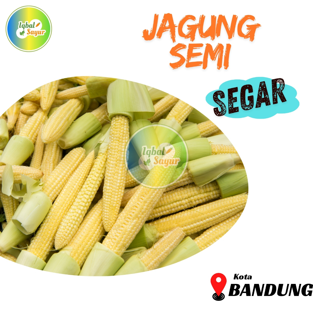 

Jagung Semi Segar Bandung