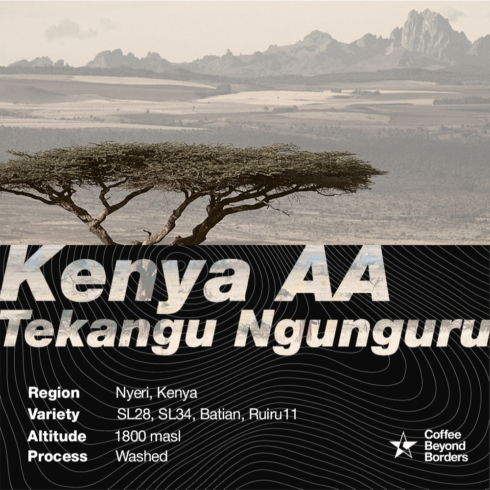 

Arabica Green Beans - Kenya AA Tekangu Ngunguru