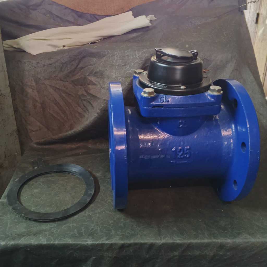 Meteran Air Flange AMICO 5 "