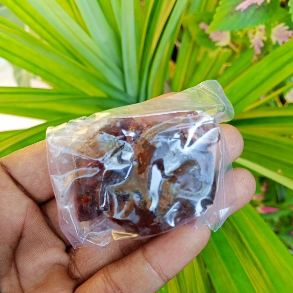 

Asam Jawa Biji ukuran Mini 30g Super Kualitas 100% Murni