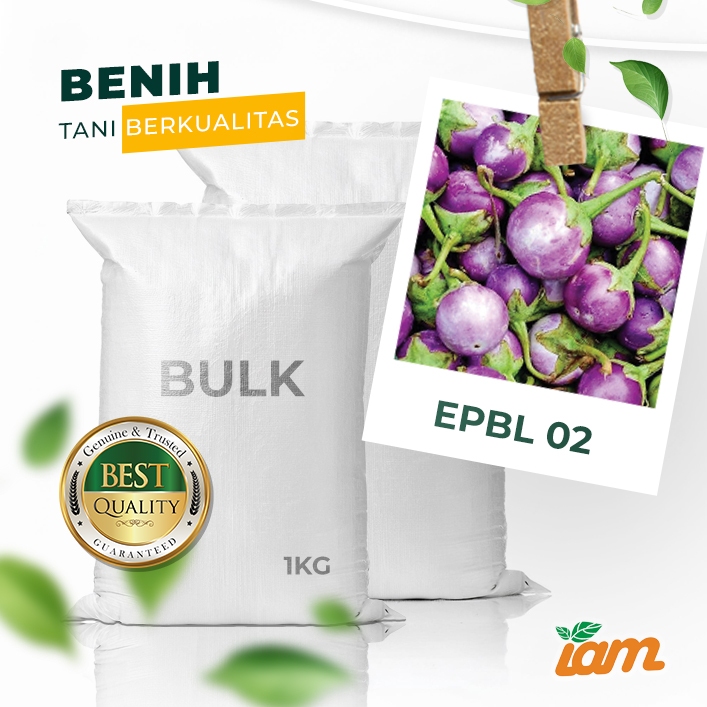 

BULK 1kg – terong lalap OP (EPBL 02)