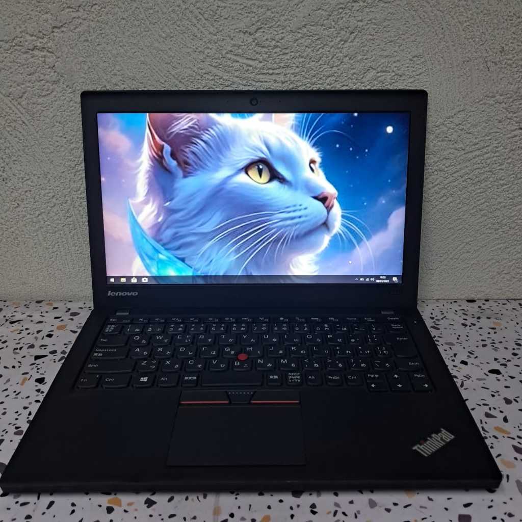 Lenovo ThinkPad X250 - Layar 12 Inch - Second Murah Bagus Bergaransi