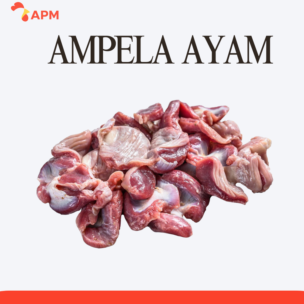 

Ampela Ayam Bersih