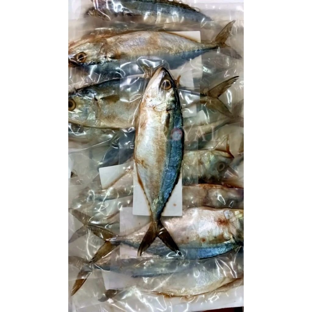 

IKAN ASIN PEDA SEGAR FRESH SEDANG 250 GRAM BERKUALITAS BEST SELLER SIAP KIRIM HARI INI