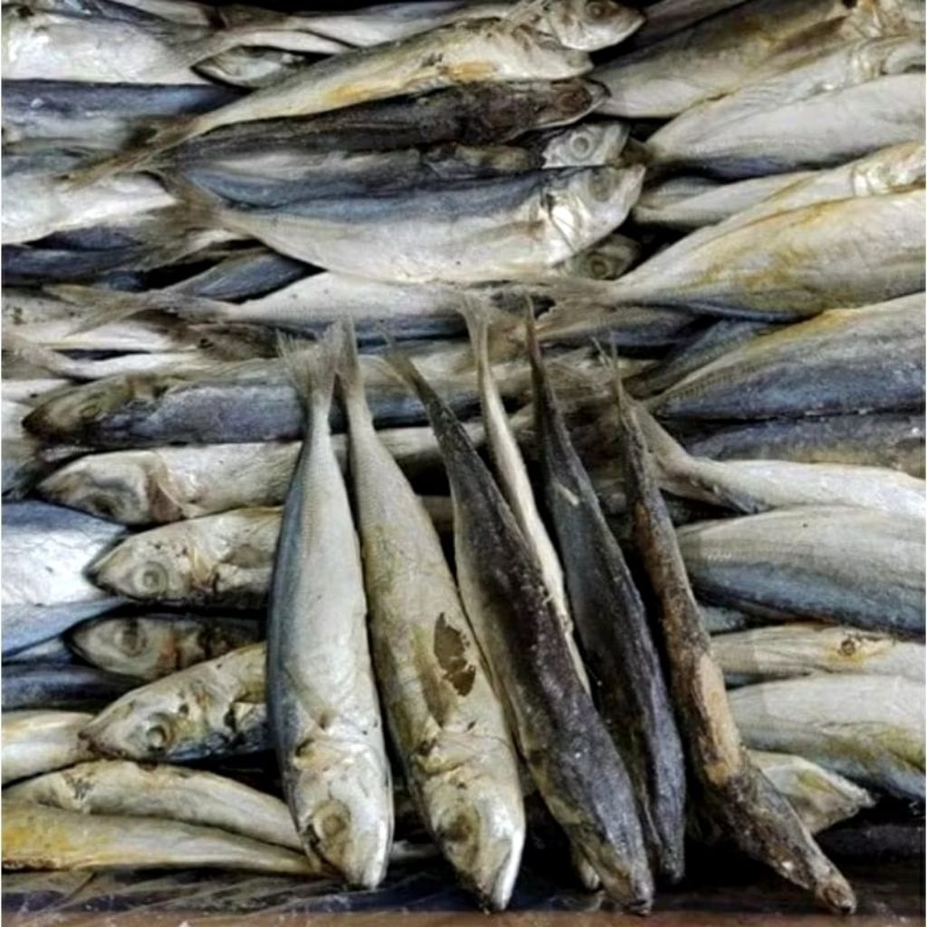 

Ikan Asin Pedo Layang – Ikan Asin Kering Gurih Siap Goreng 250gr / 500gr