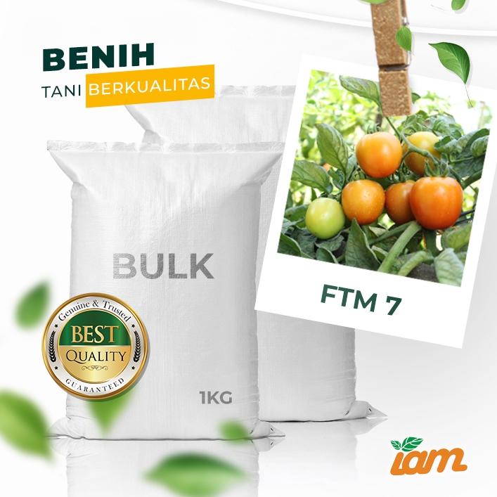 

BULK 1kg – tomat l F1 (FTM 7)