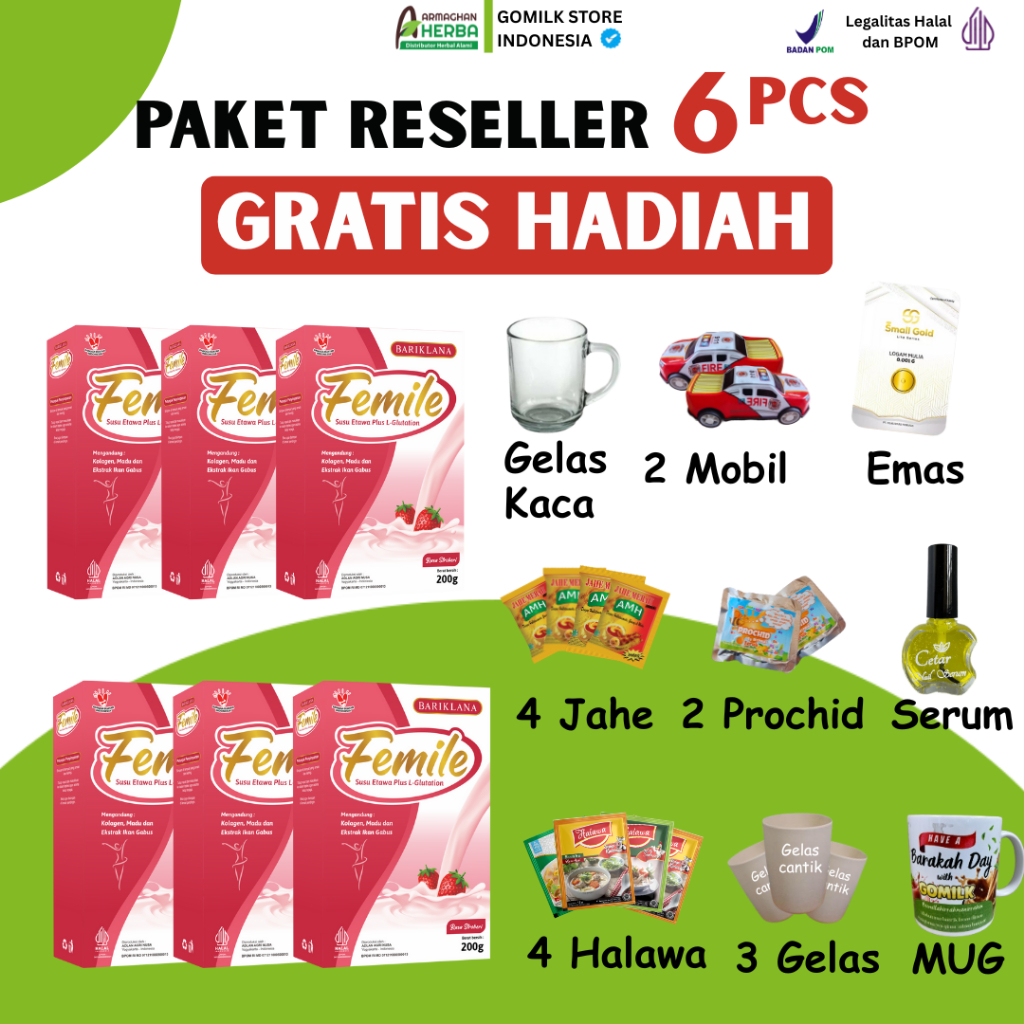 

[ PAKET RESELLER 6 BOX ] FEMILE Susu Kambing Etawa Plus L Glutation dan Collagen | Nutrisi Kecantikan Kulit tampak Lebih Bersinar