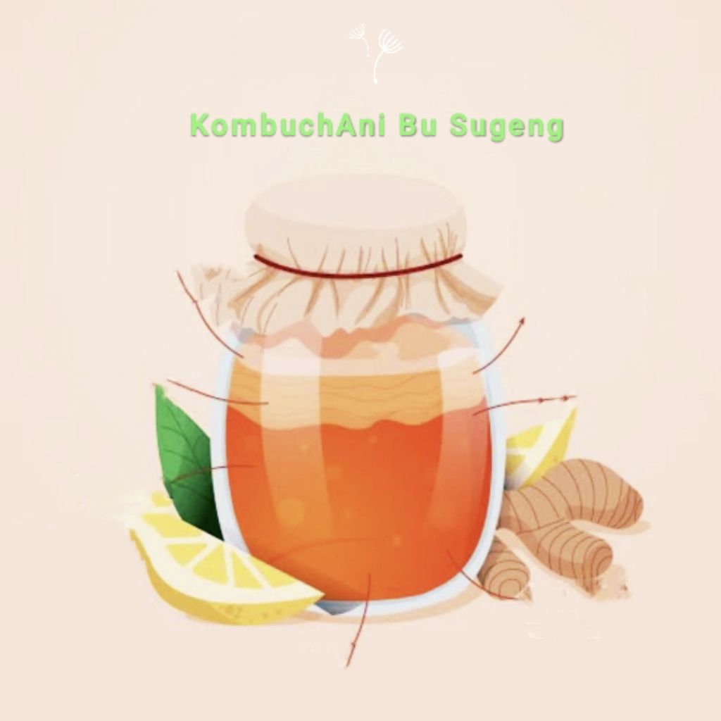

starter Kombucha kuat 1Liter brix <5%