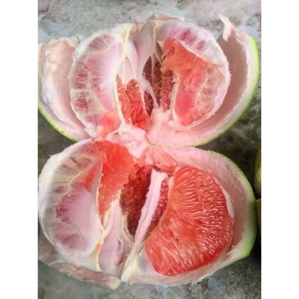 

paket hemat 3 jeruk pamelo madu muria berat 1,5kg-1,7kg