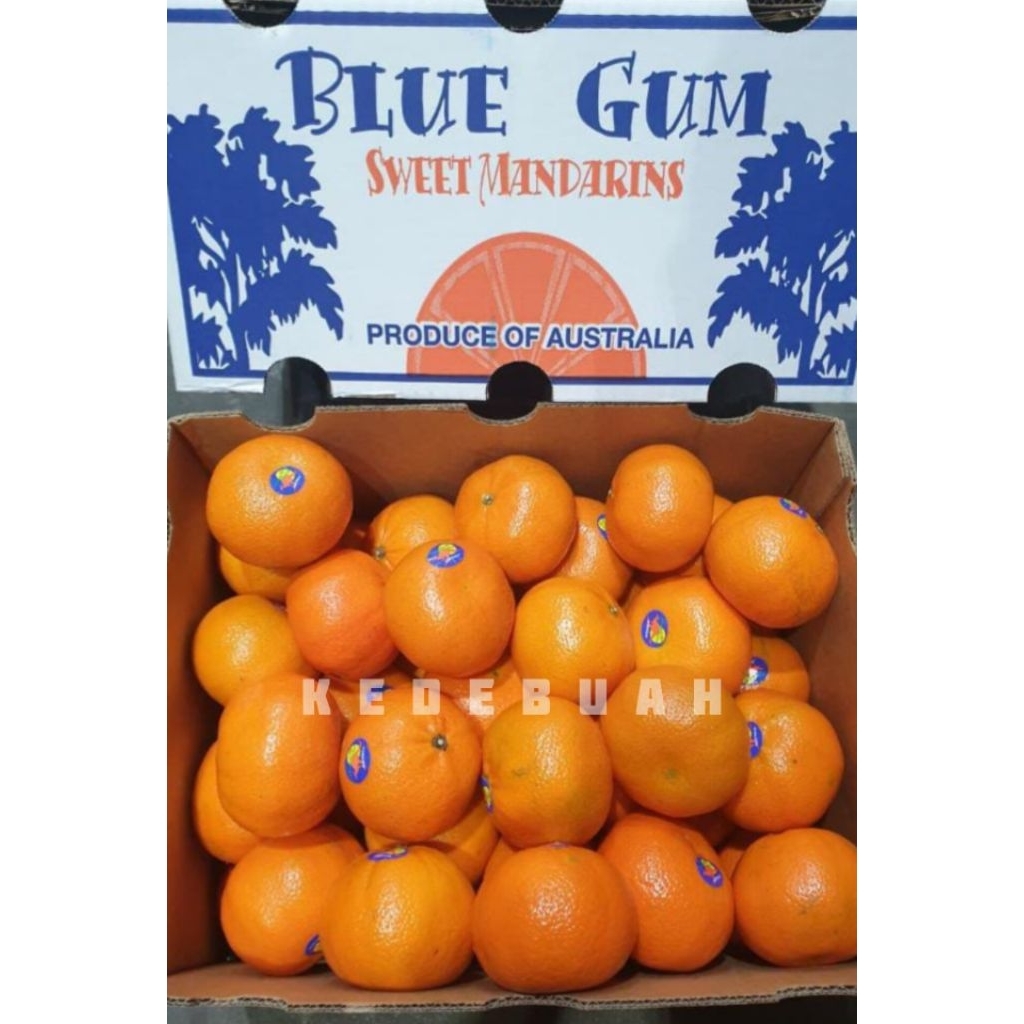 

Jeruk Honey Murcot Australia