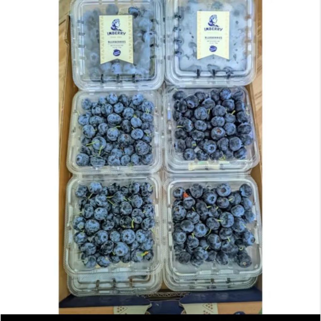 

blubery import premium RRC pack manis fresh