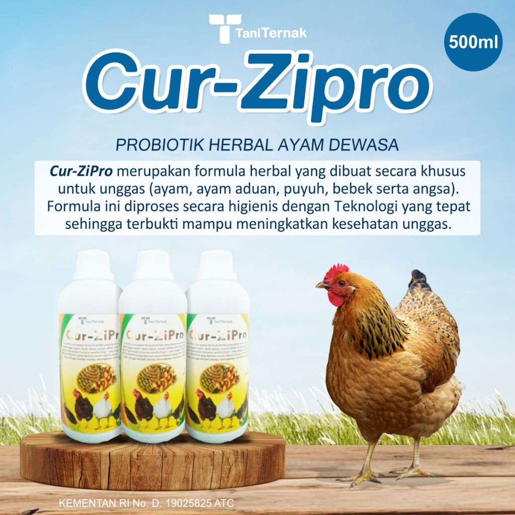 Obat Herbal Antibiotik Ayam (Dewasa) - Cur-ZiPro 500ml