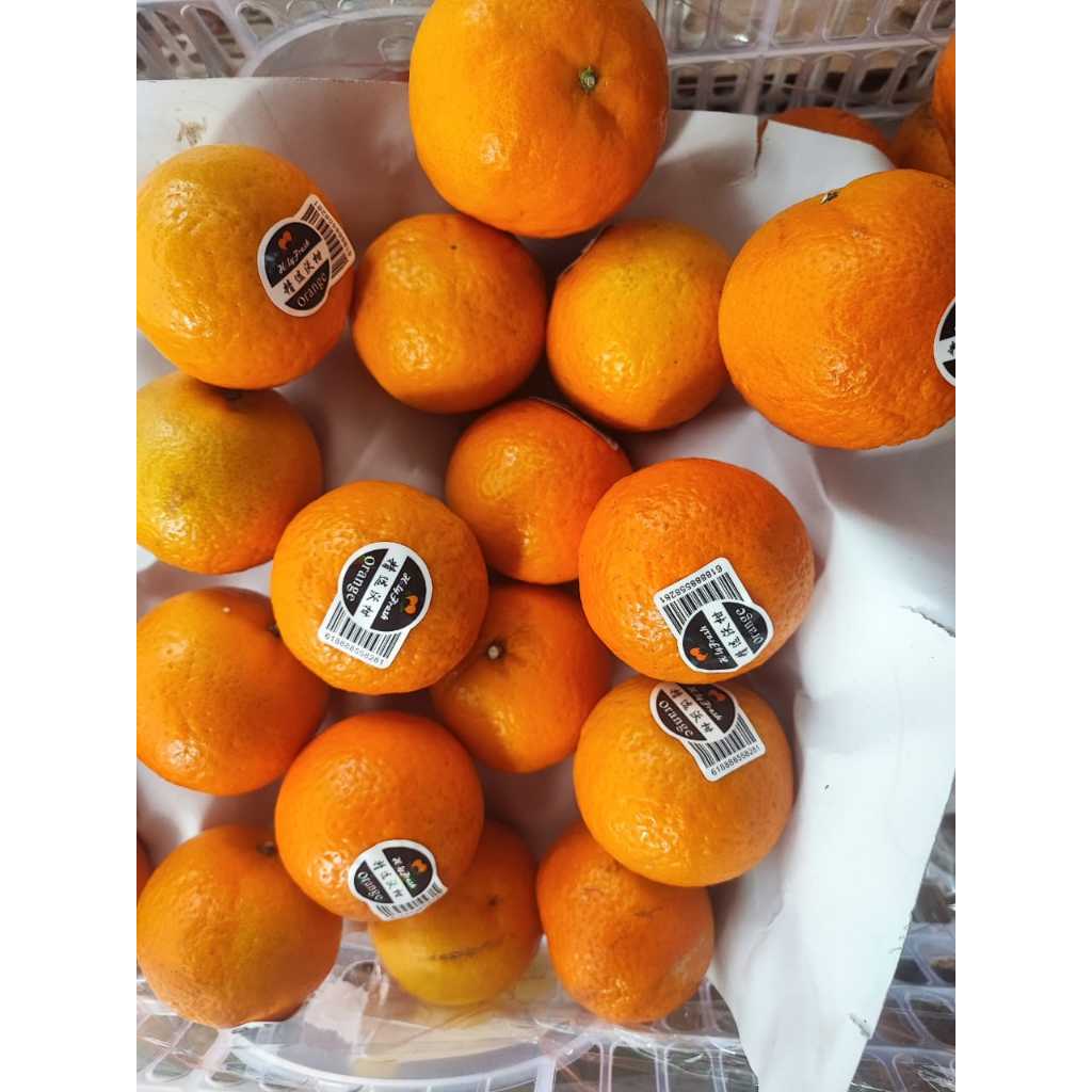 

Buah Jeruk Wogam Import Manis dan Segar Kaya Vitamin C