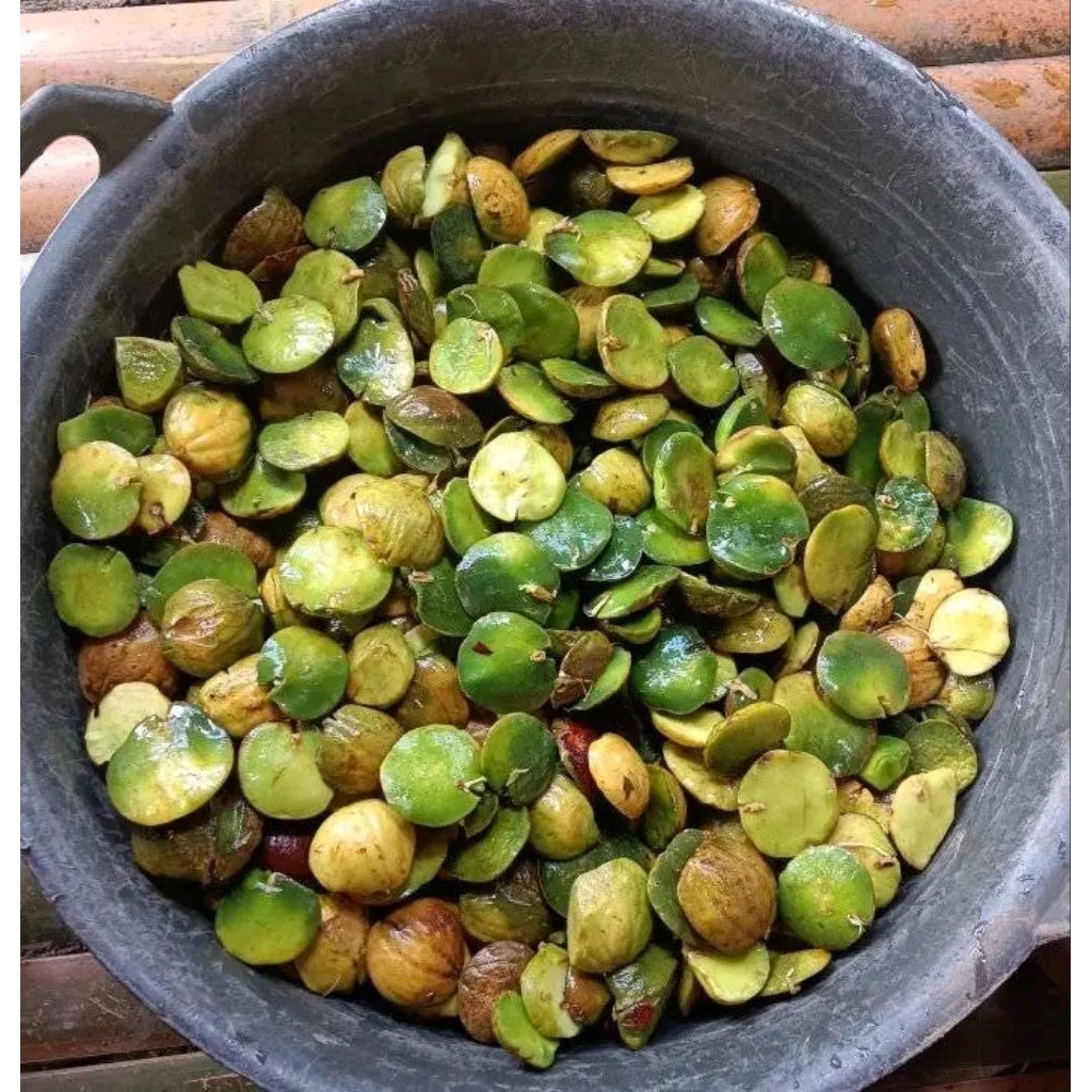 

readystock jengkol beweh lampung murah 1kg terlaris paling banyak di cari