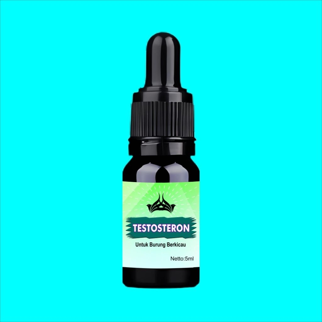 Testosteron vitamin suplemen burung gacor 5ml