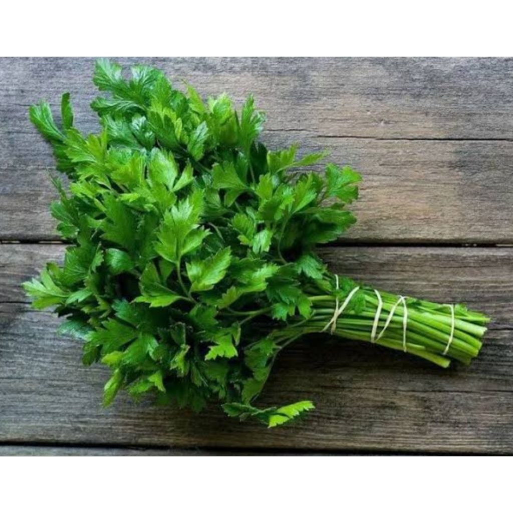 

daun slesei/sop ikat besar bppn