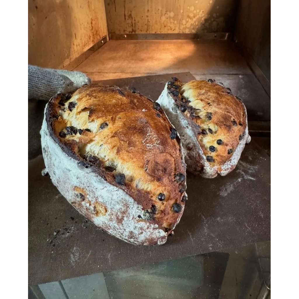 

roti kismis sourdough 1pc/Roti sehat homemade fermentasi 12jam