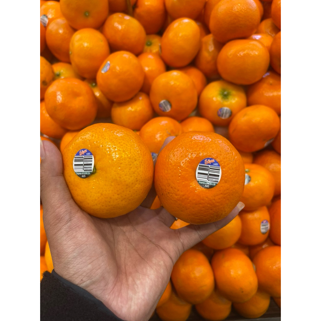 

Jeruk Emprees Mandarine Australia Import 1kg