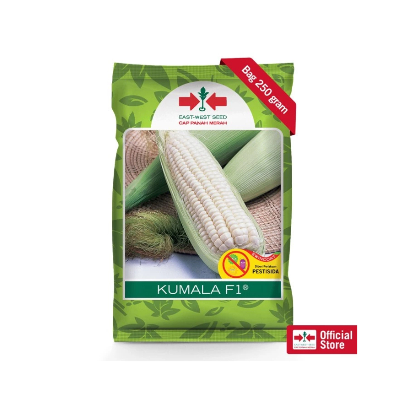 Benih Bibit Jagung Ketan Kumala F1 Isi 250 Gram