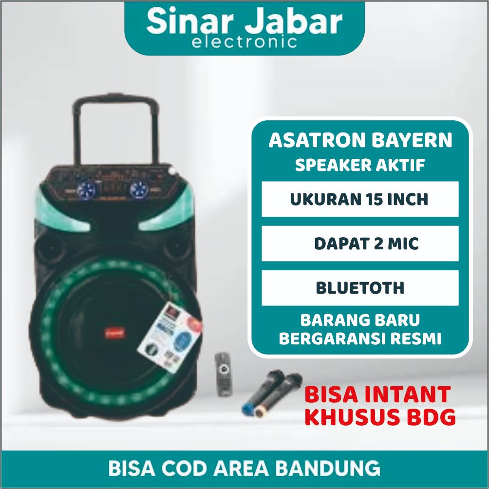 Asatron Bayern 15 Inch Bluetooth Party Speaker