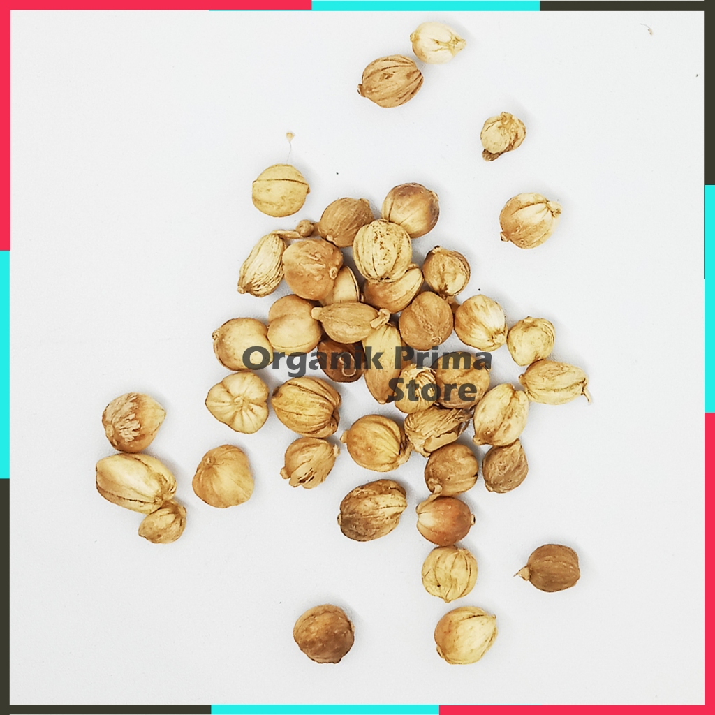 

Kapulaga Kering 500gr Putih Asli Organik Harum