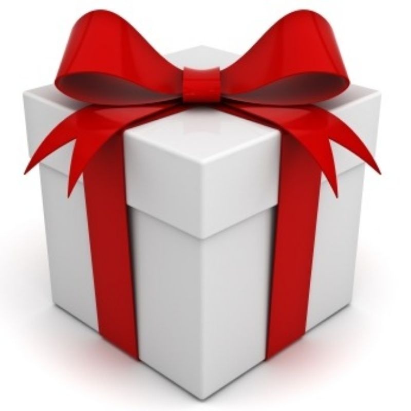 Ikan Hias Payara Armatur 25cm