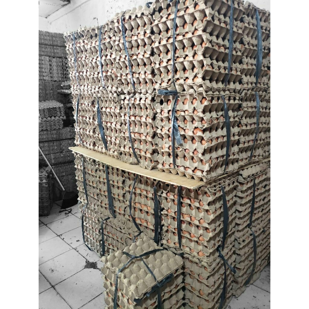 

Telur Ayam Negeri Kualitas Terbaik Fresh Setiap Hari isi 15kg/1ikat/1pt
