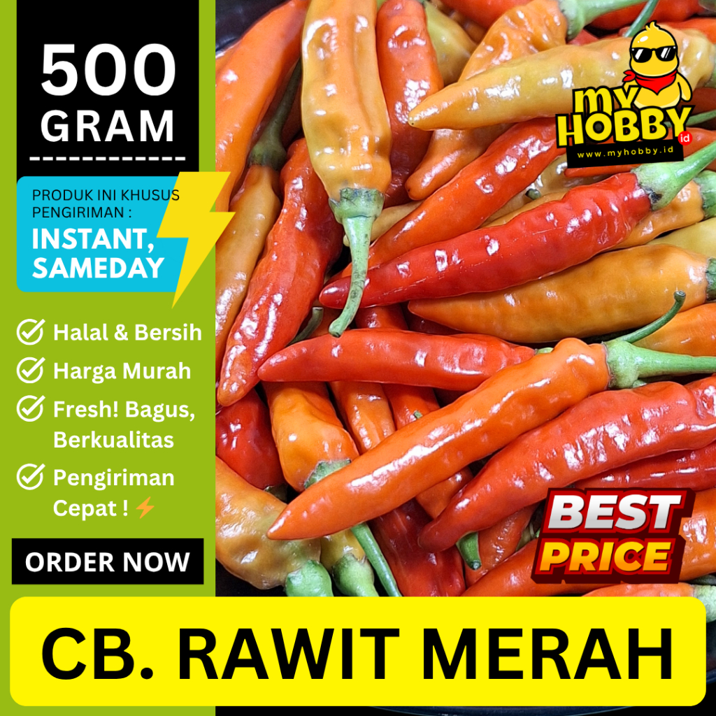 

Cabai Rawit Merah Segar 500 gram! Pedas Mantap, Murah Berkualitas! Cengek Domba, Cabe Caplak Prentul