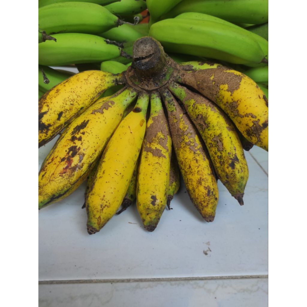 

Pisang Uli Persisir