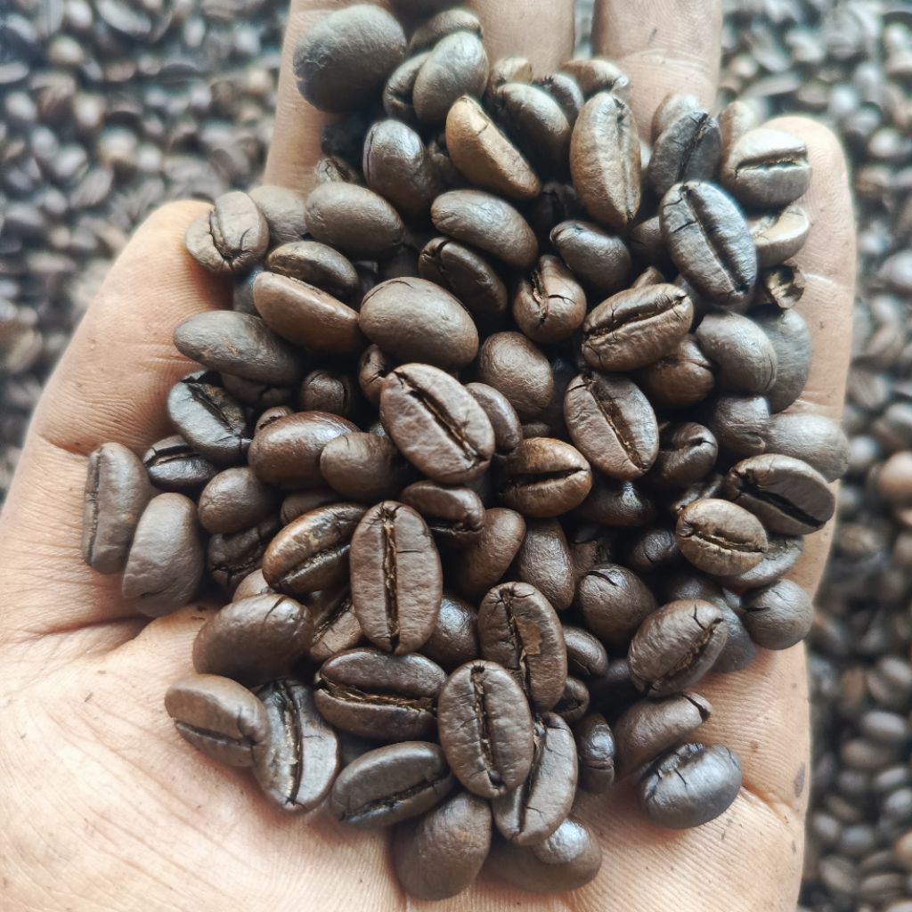 

Roasted Bean Asalan G1