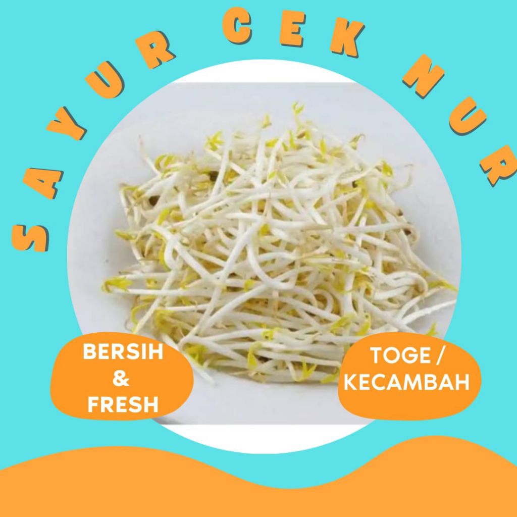 

TOGE / KECAMBAH / TAUGE - INSTAN PALEMBANG