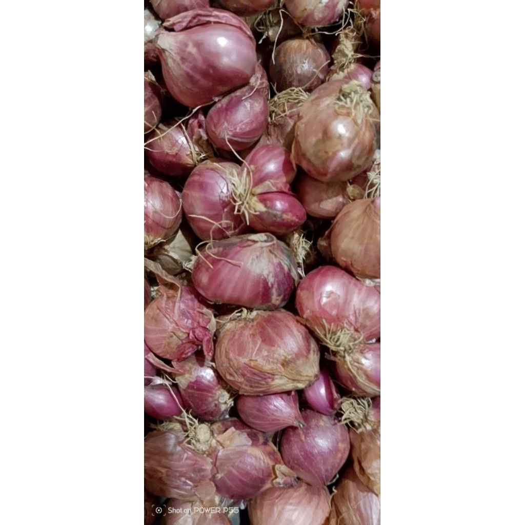 

bawang merah besar 500g dan 1000g