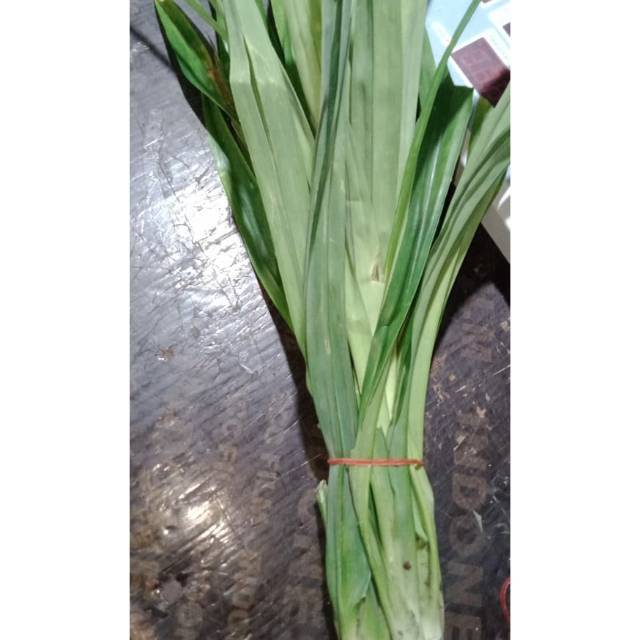 

Daun Pandan Segar 500 gram