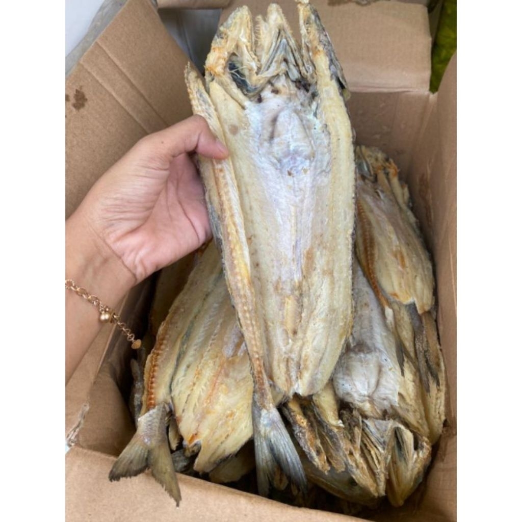 

Ikan Gabus Belah Asin Ikan Asin Bloso Gurih 500grm