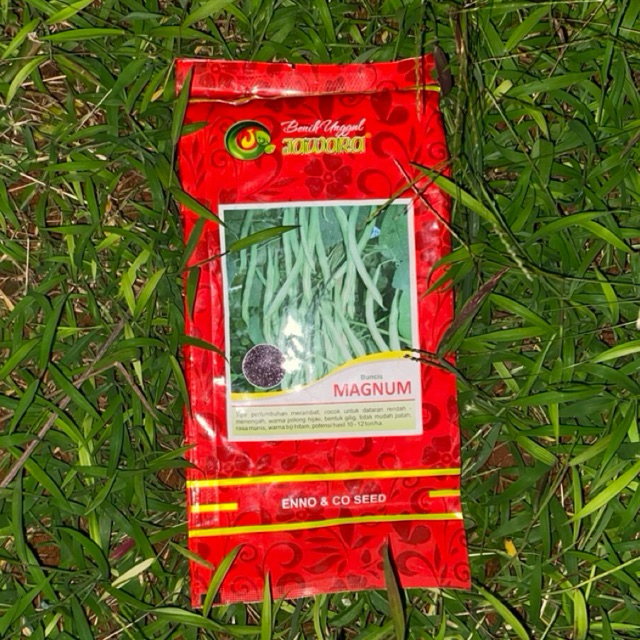 

Jawara - Benih Buncis 500gr / Magnum