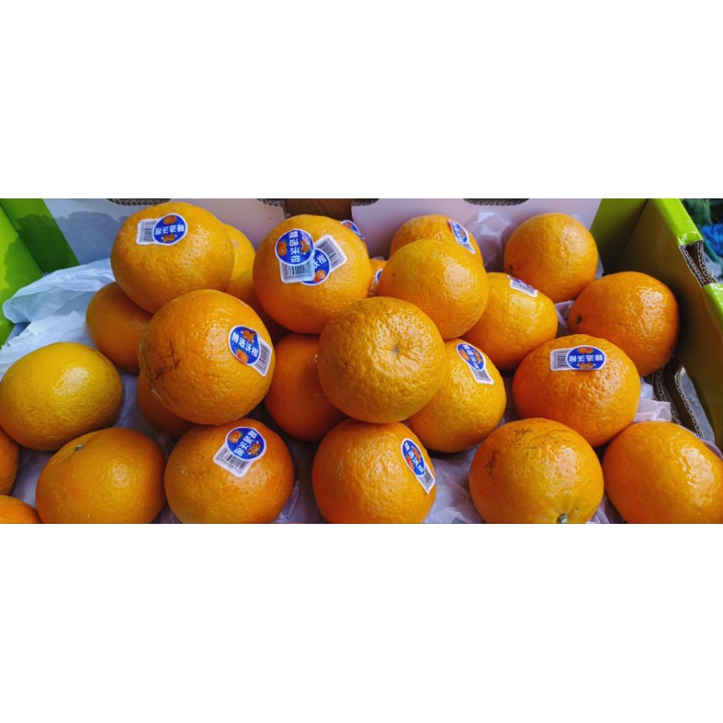 

[INSTANT] Jeruk Wogan Mandarin / Jeruk Wokam