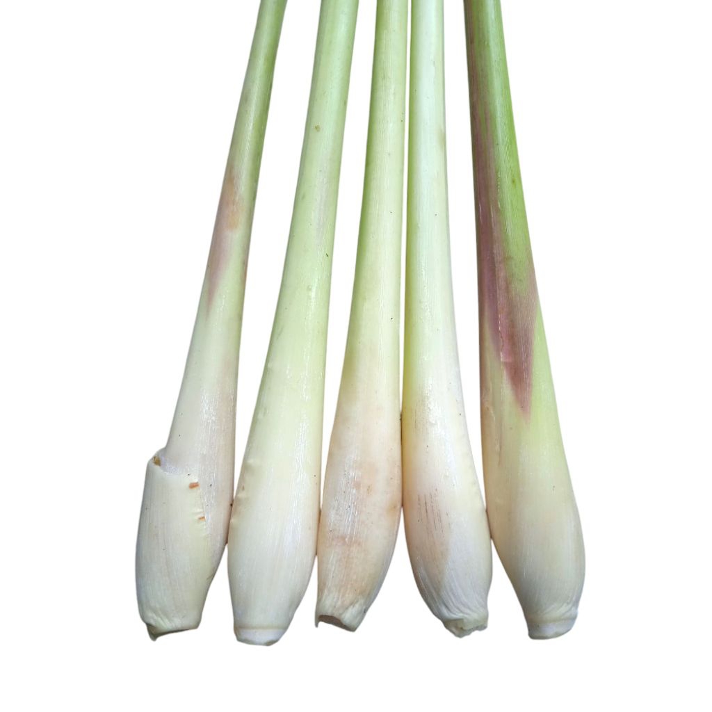 

SERAI Fress 100gram /Sereh segar (Lemongrass)