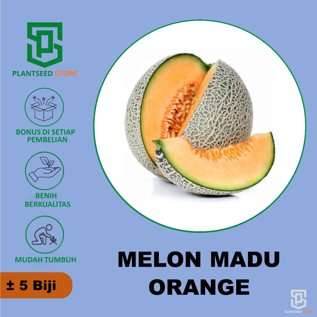 PlantSeed - 5 Benih Bibit Buah Melon Jumbo Madu Orange Sweet