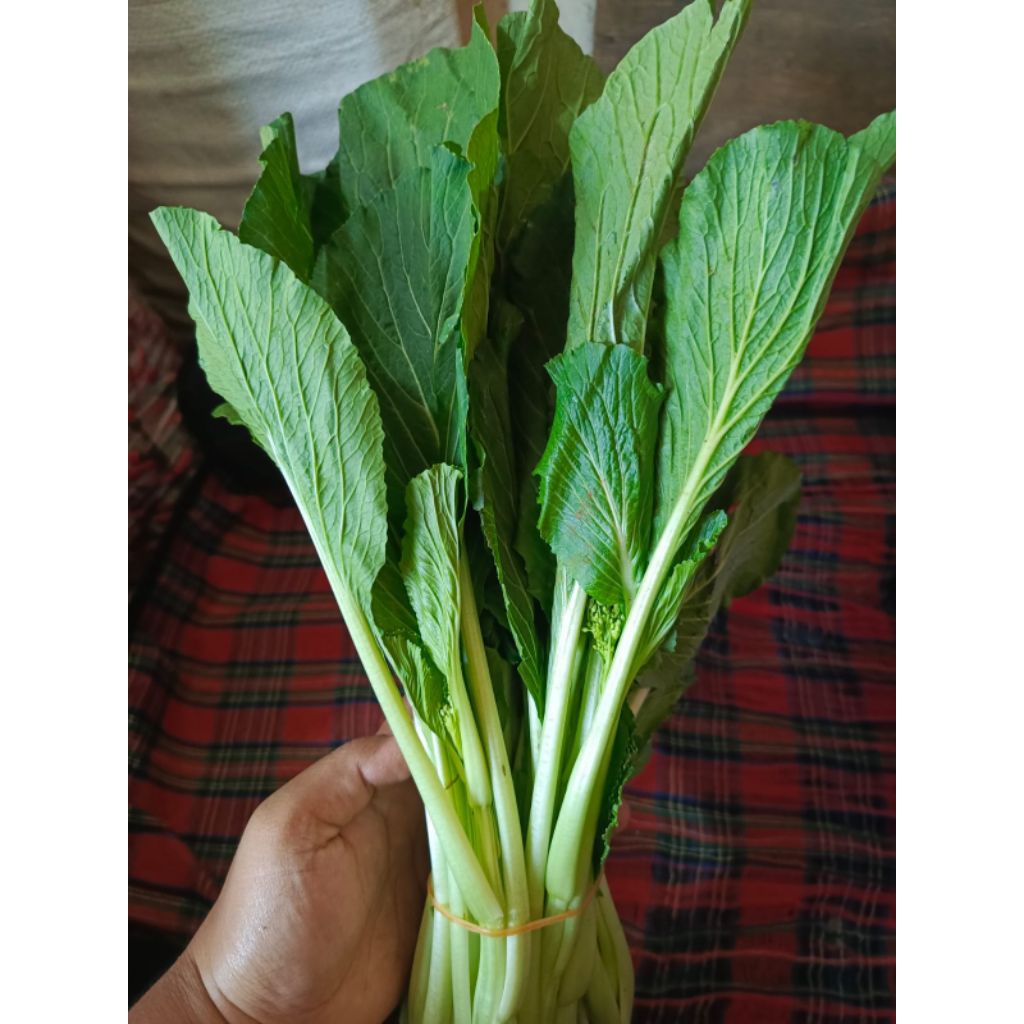 

Cesim 500gr